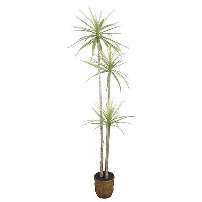 6ft. Yucca Faux Plant in Woven Basket by Ashland®