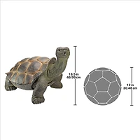 Design Toscano 2.5ft. The Elephant Tortoise Statue