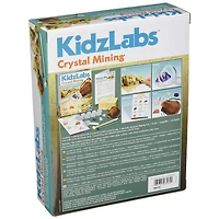 Toysmith® 4M Kidzlabs DIY Geology Science Dig Crystal Mining Kit