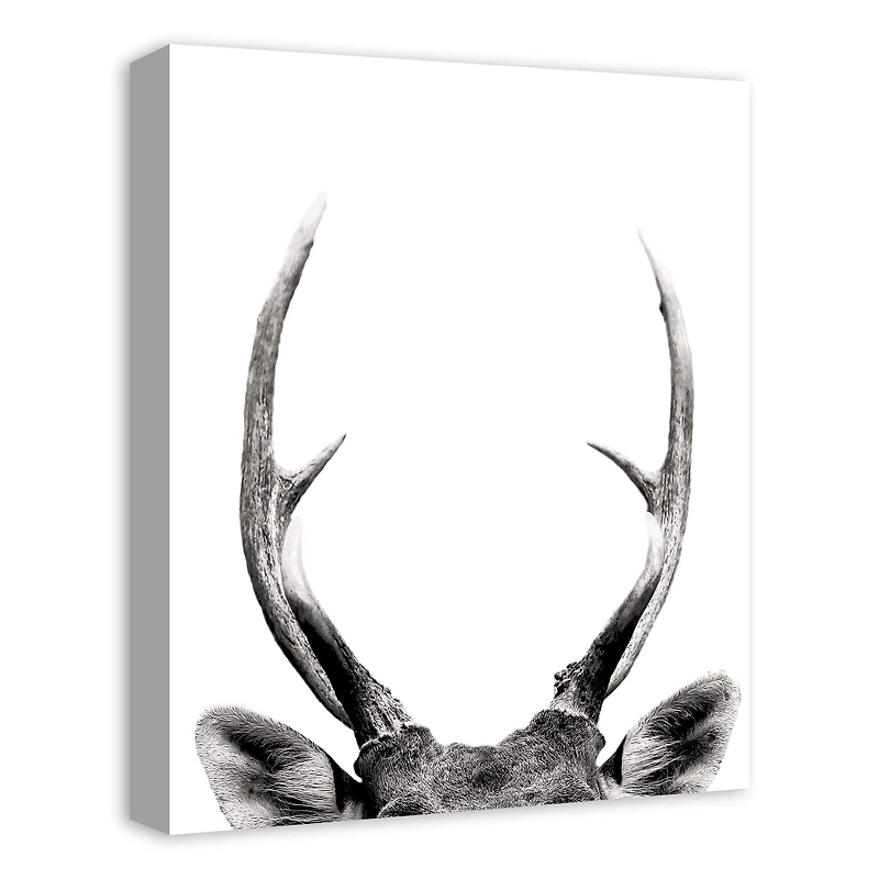 Peeking Deer  16" x 20" Canvas Wall Art