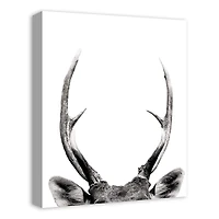 Peeking Deer  16" x 20" Canvas Wall Art