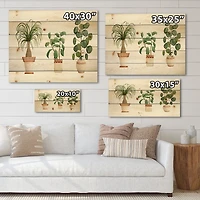 Designart - Trio of House Plants Ponytail Palm and Ficus