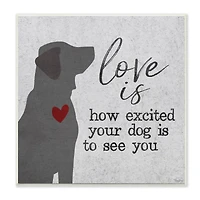 Stupell Industries Love is How Excited Your Dog is Quote Hearts Grey Red,12" x 12"