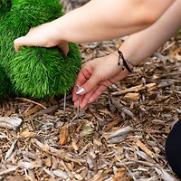 14in. UV Resistant Artificial Grass Garden Plush Topiary Bear (Indoor/Outdoor)