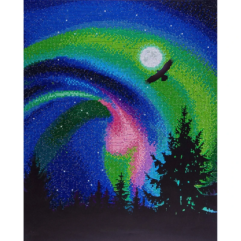 Diamond Art Advanced Aurora Eagle Paint by Number Kit