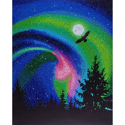 Diamond Art Advanced Aurora Eagle Paint by Number Kit
