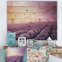 Designart - Lavender Fields During Dawn