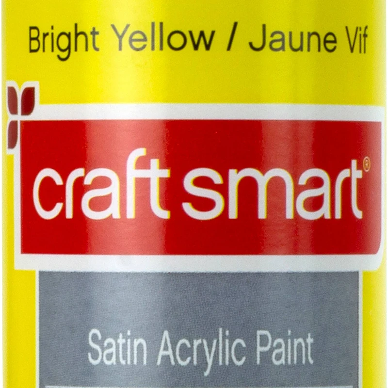 8oz. Satin Acrylic Paint by Craft Smart