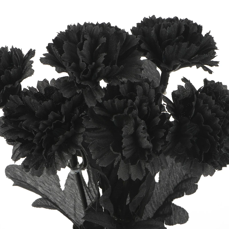 Halloween Mum Bush by Ashland