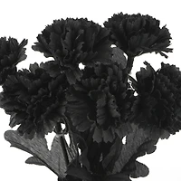 Halloween Mum Bush by Ashland