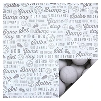 Volleyball Double-Sided Cardstock Paper by Recollections™, 12" x 12"