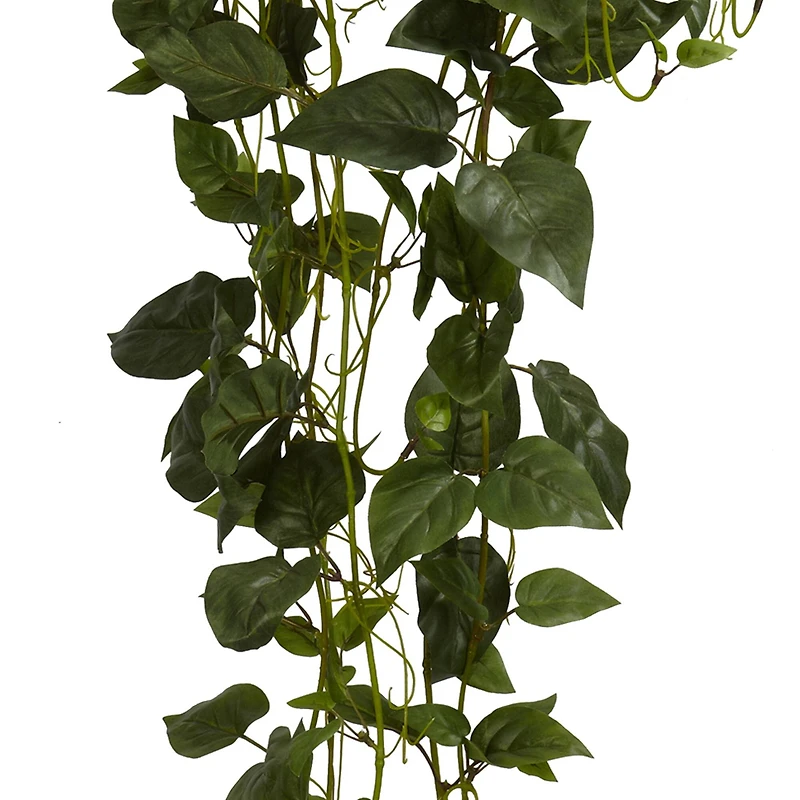 44" Philodendron Hanging Basket Plant