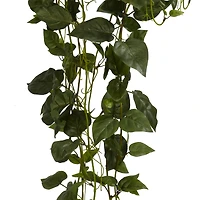 44" Philodendron Hanging Basket Plant