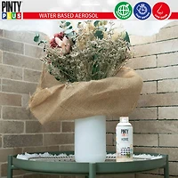 Pintyplus Home Water-Based Spray Paint