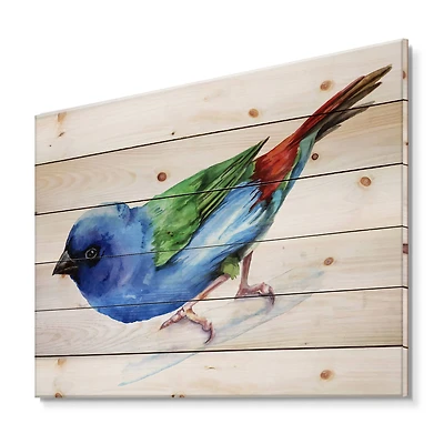 Designart - Forbes Finch Bird - Traditional Print on Natural Pine Wood