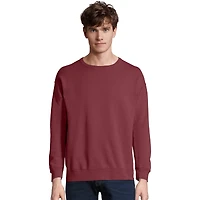 Hanes Men's ComfortWash Sweatshirt