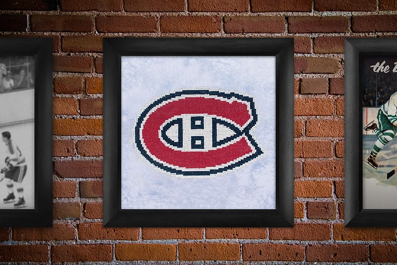 Camelot® Dots NHL Montreal Canadiens Diamond Painting Kit