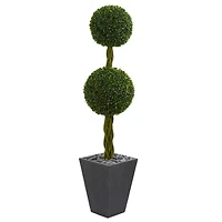5ft. Double Ball Boxwood Topiary Tree in Slate Planter