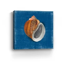 Rosecliff Shell I Canvas Giclee