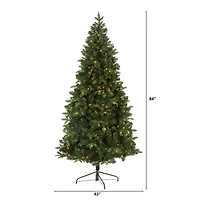 7ft. Pre-Lit Grand Teton Spruce Flat Back Artificial Christmas Tree, Clear LED Lights