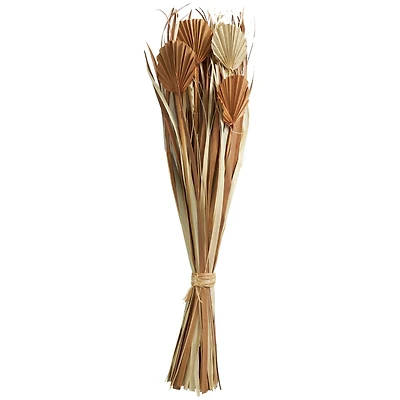 Beige & Tan Dried Grass & Fan Palm Bundle