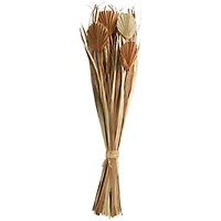 Beige & Tan Dried Grass & Fan Palm Bundle