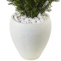 3ft. Cedar in Oval Textured Planter