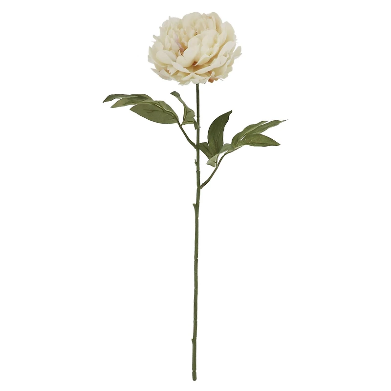 28" Peony Stem by Ashland