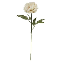 28" Peony Stem by Ashland