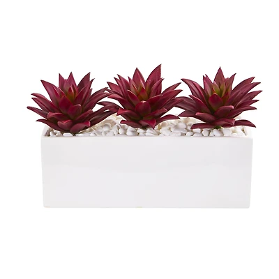 8" Triple Red Agave Succulent Arrangement in White Planter