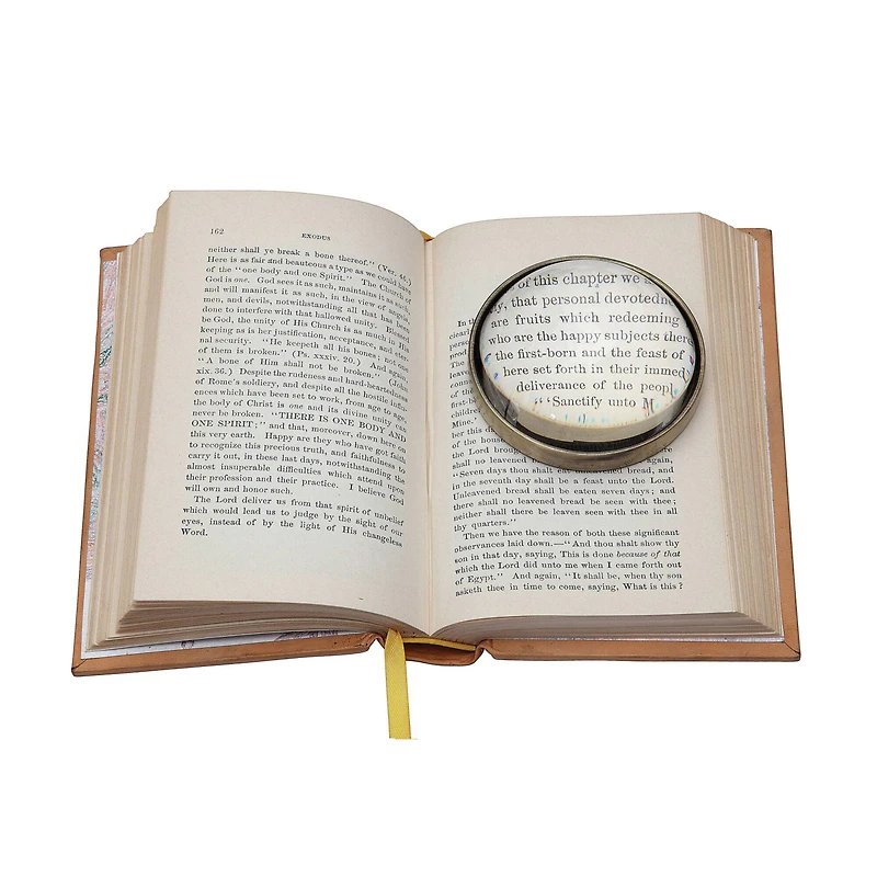 Hello Honey® 3" Round Paperweight Magnifying Glass