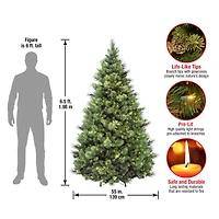 6.5ft. Pre-Lit Carolina Pine Artificial Christmas Tree, Clear Lights