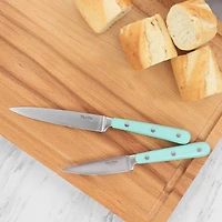 Martha Stewart Turquoise Stainless Steel 2 Piece Cutlery Set