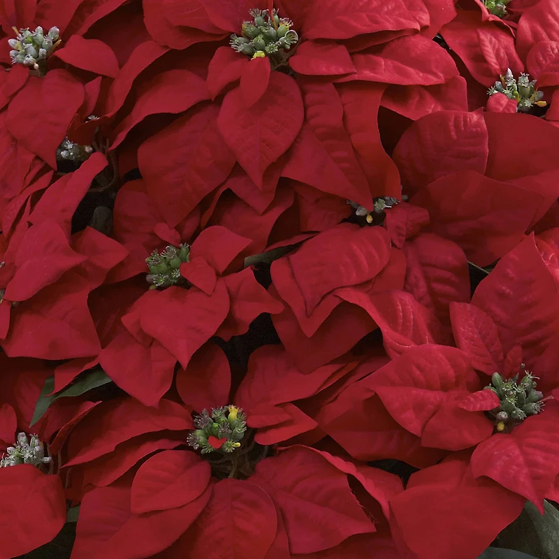 2.5ft. Potted Poinsettia Arrangement in Decorative Planter