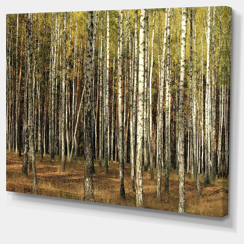 Designart - Green Fall Forest with Thick Trees