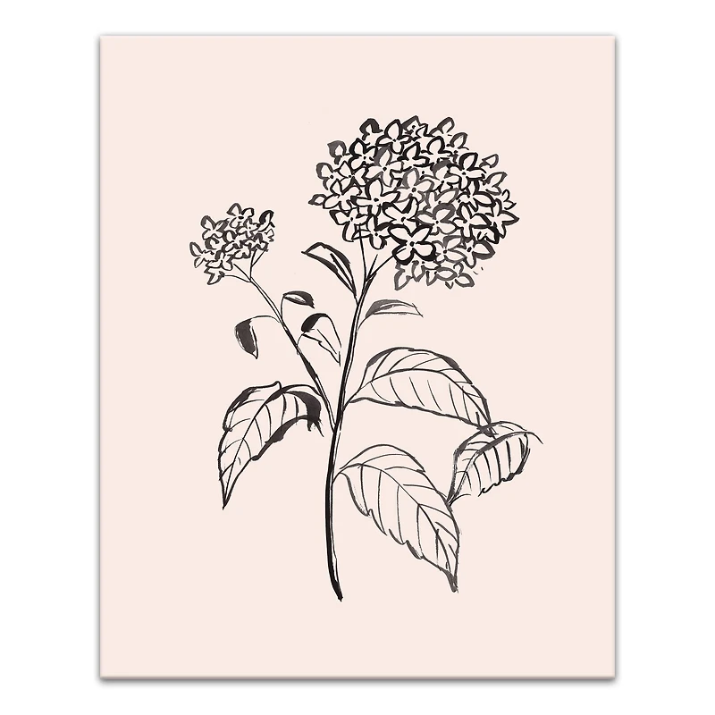 Hydrangeas On Blush 16" x 20" Canvas Wall Art