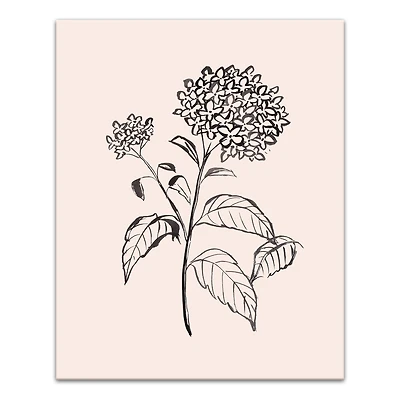 Hydrangeas On Blush 16" x 20" Canvas Wall Art