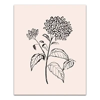 Hydrangeas On Blush 16" x 20" Canvas Wall Art