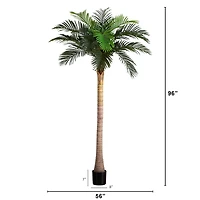 8ft. Potted Coconut Palm Tree