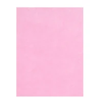 9" x 12" Felt Sheets by Creatology™