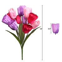 19" Tulip Bush by Ashland