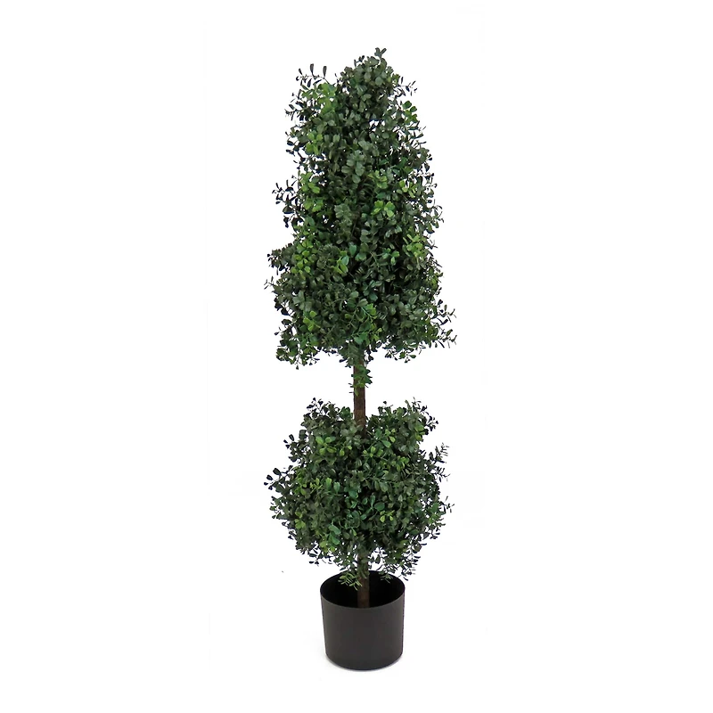 4ft. Boxwood Cone & Ball Topiary In Nursery Pot