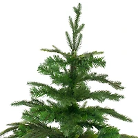 6.5ft. Unlit Green Roosevelt Fir Artificial Christmas Tree