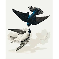 16" x 20" Swallows Paint-by-Number Kit by Artist's Loft®
