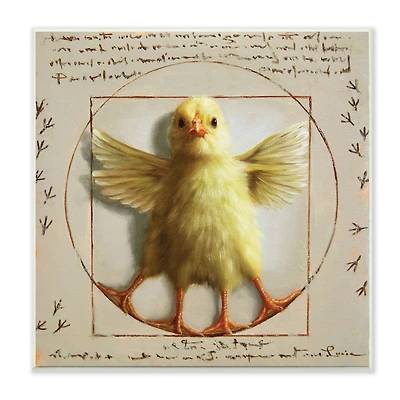 Stupell Industries Vitruvian Chick Baby Farm Chicken Animal Humor, 12" x 12"