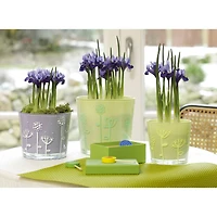 edding® 4095 Chalk Marker