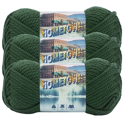 3 Pack Lion Brand® Hometown Yarn