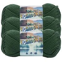3 Pack Lion Brand® Hometown Yarn