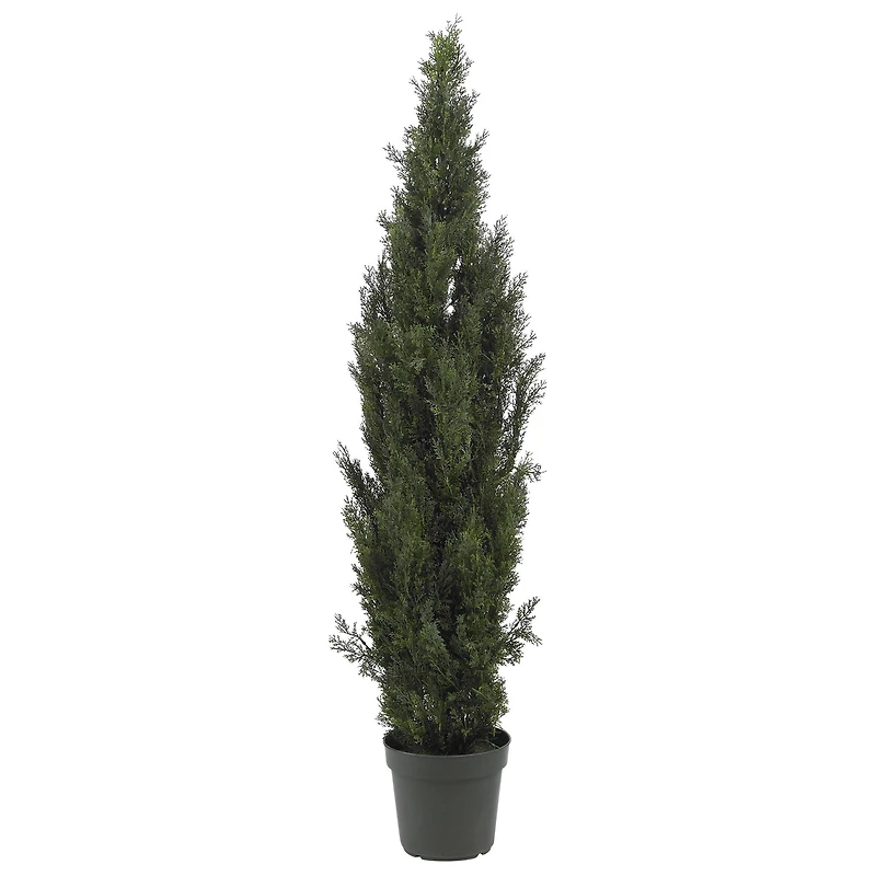 6ft. Cedar Pine Tree