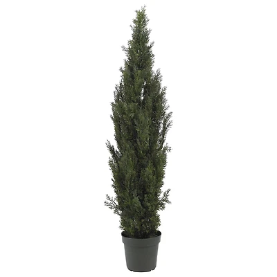 6ft. Cedar Pine Tree